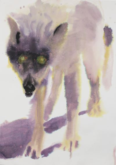 Paradise circus - wolf