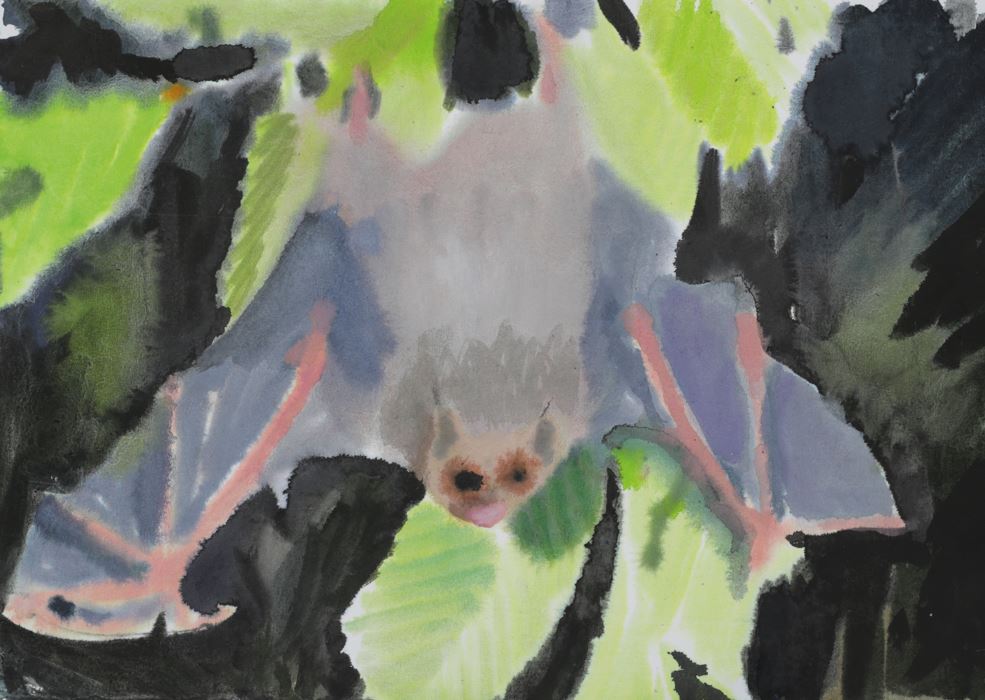 Paradise circus - bat