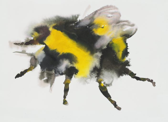 Paradise circus - bee