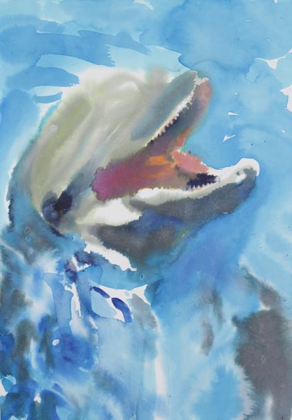 Paradise circus - dolphin
