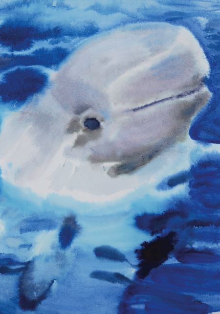 Paradise circus - porpoise