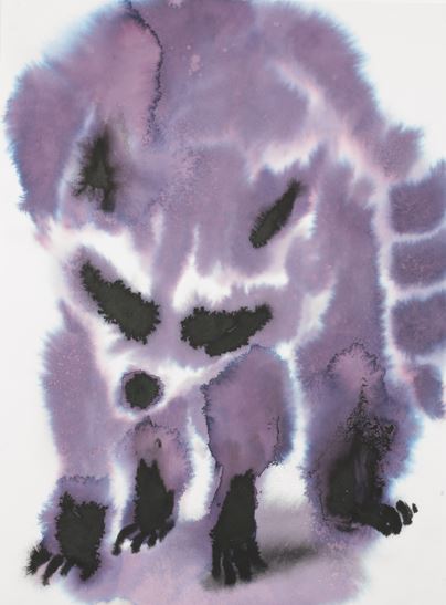 Paradise circus - raccoon