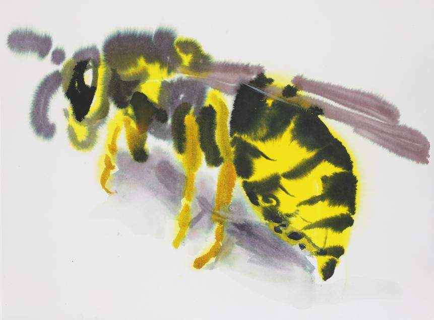 Paradise circus - bee